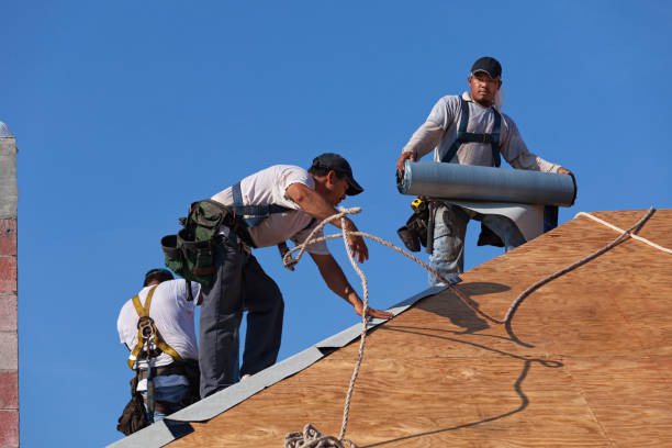 Best Emergency Roof Repair  in Elmira, NY
