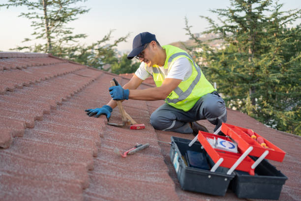 Best Storm Damage Roof Repair  in Elmira, NY